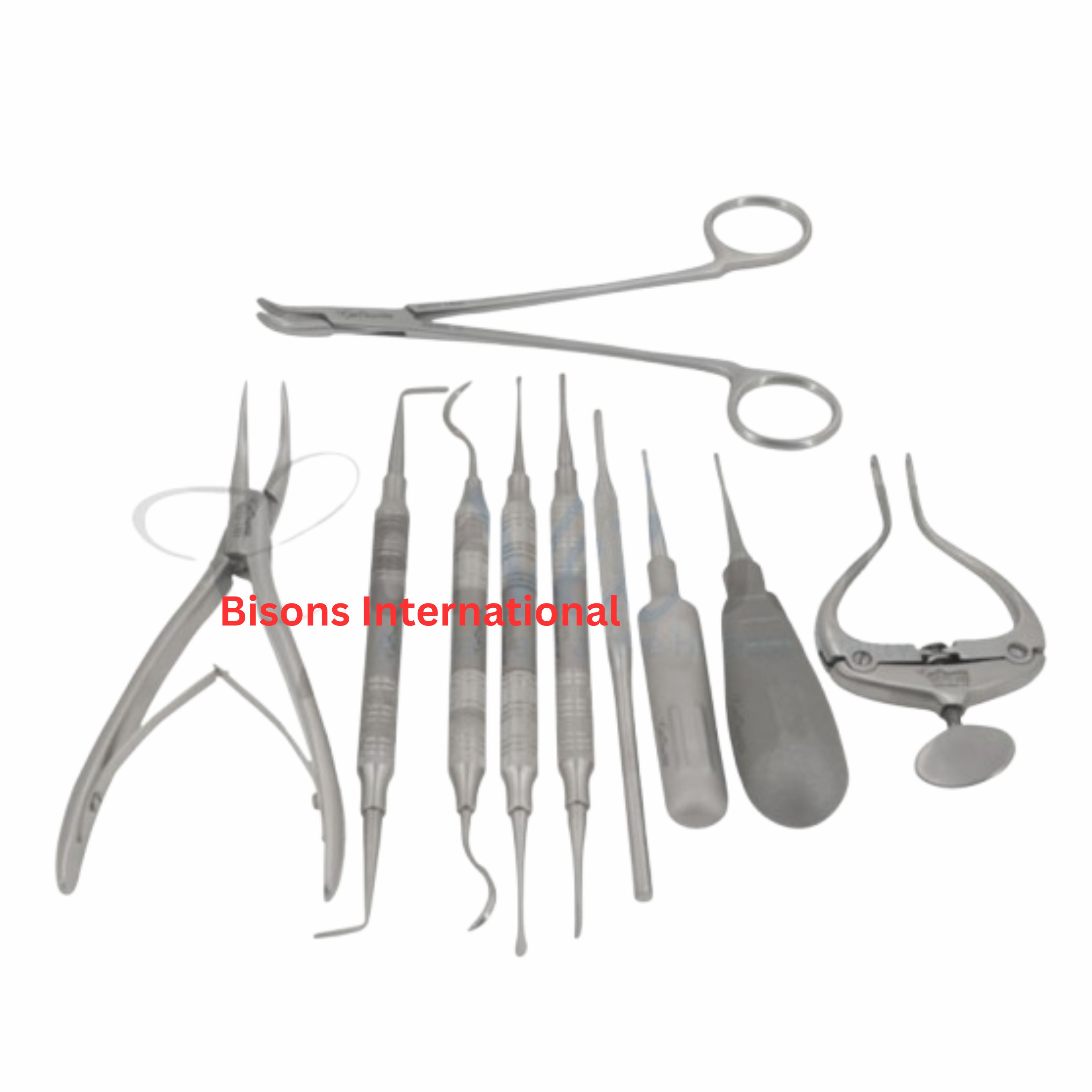 Rabbit Extraction Instrument Set with Mini Handle | Veterinary Dental Tools