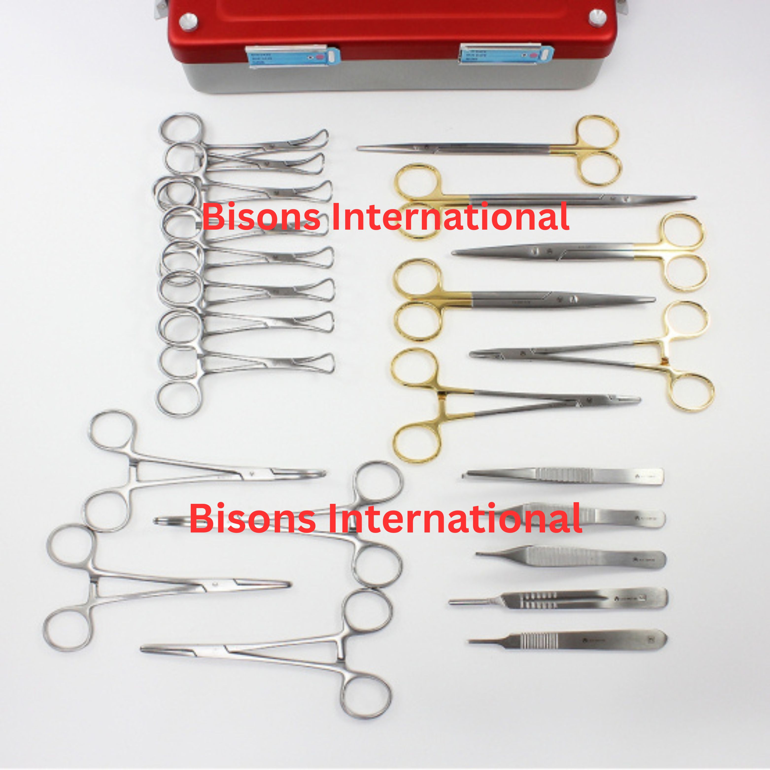 Micro Periodontal Oral Surgery Kit | Dental Microsurgical Instrument Set