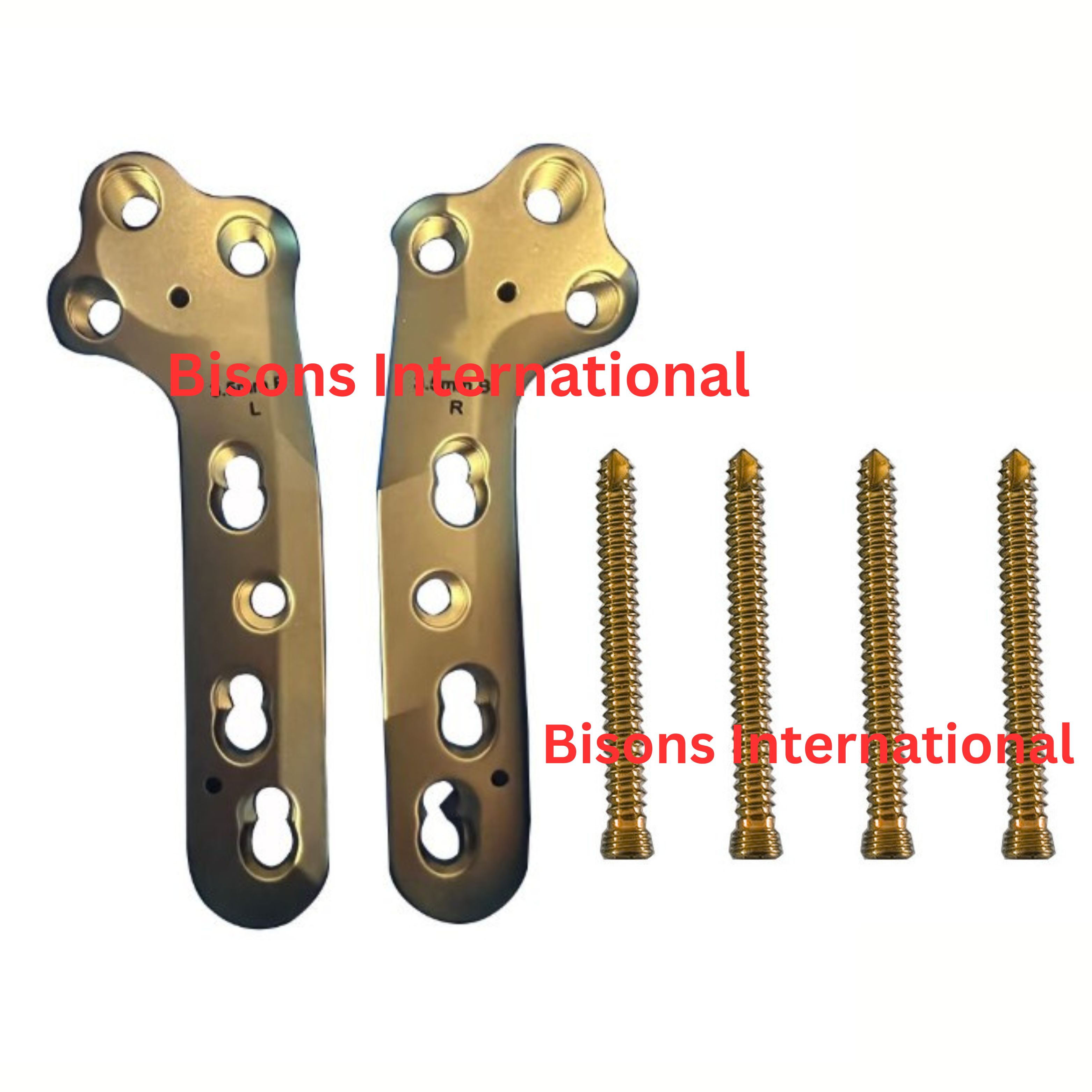 TPLO Locking Plate System for Veterinary Orthopedic Procedures